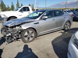 KIA Optima salvage cars for sale: 2012 KIA Optima Hybrid