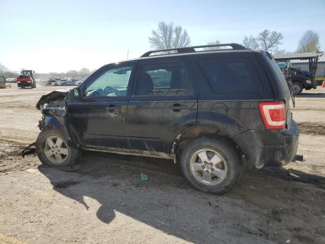 2010 Ford Escape XLT