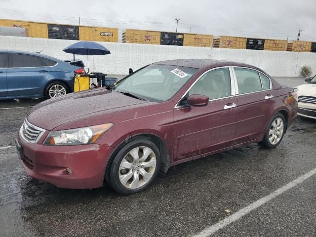 2008 Honda Accord EXL