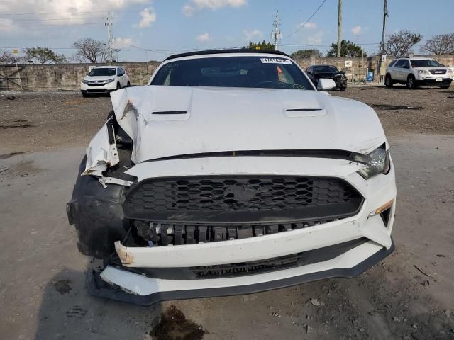 2019 Ford Mustang