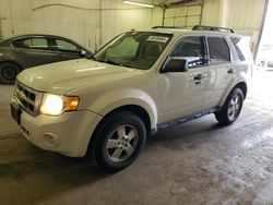 Ford Escape XLT salvage cars for sale: 2010 Ford Escape XLT