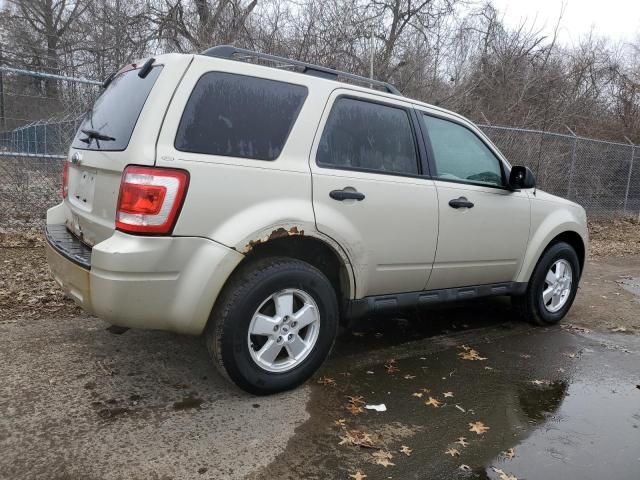 2011 Ford Escape XLT