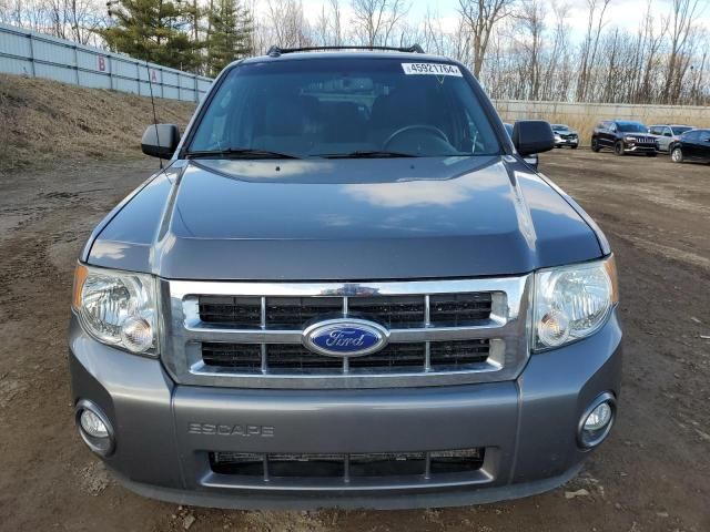 2011 Ford Escape XLT