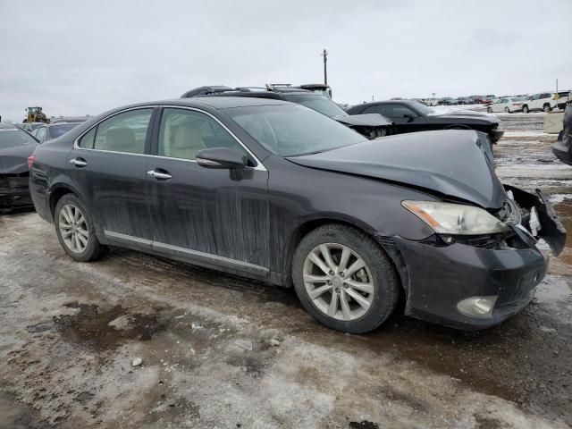 2010 Lexus ES 350