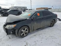 Toyota salvage cars for sale: 2013 Toyota Camry L