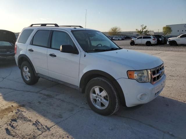 2009 Ford Escape XLT