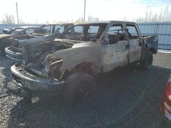 Salvage trucks for sale at Ottawa, ON auction: 2013 Ford F150 Supercrew