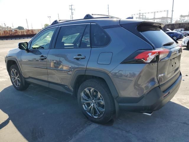 2023 Toyota Rav4 XLE Premium