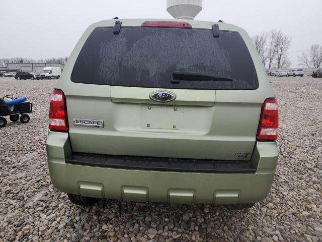 2008 Ford Escape XLT