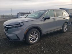 Salvage cars for sale from Copart Airway Heights, WA: 2023 Honda CR-V EX