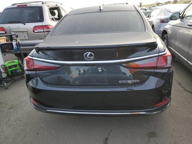 2024 Lexus ES 300H Base