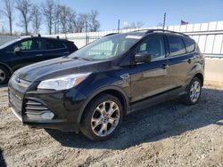 Ford Escape SE Vehiculos salvage en venta: 2013 Ford Escape SE