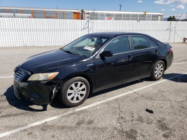 2007 Toyota Camry Hybrid