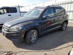 Salvage cars for sale at New Britain, CT auction: 2017 Volkswagen Tiguan S
