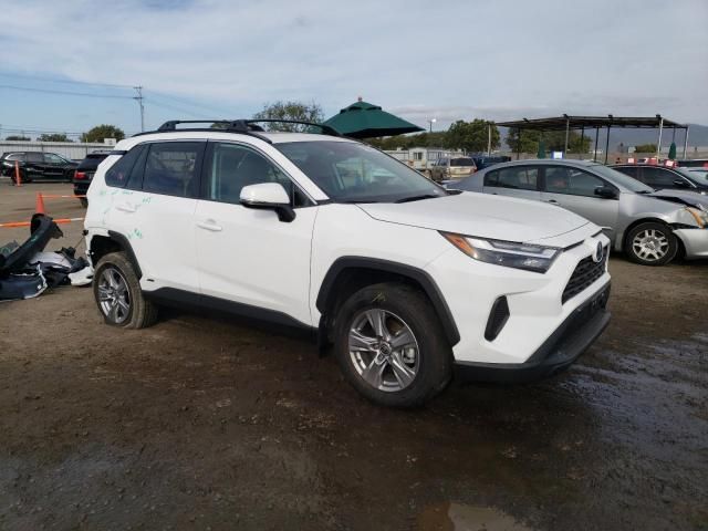 2024 Toyota Rav4 XLE