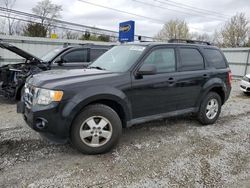 2012 Ford Escape XLT for sale in Walton, KY