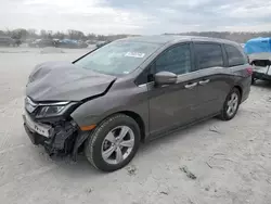 Salvage cars for sale at Cahokia Heights, IL auction: 2019 Honda Odyssey EXL