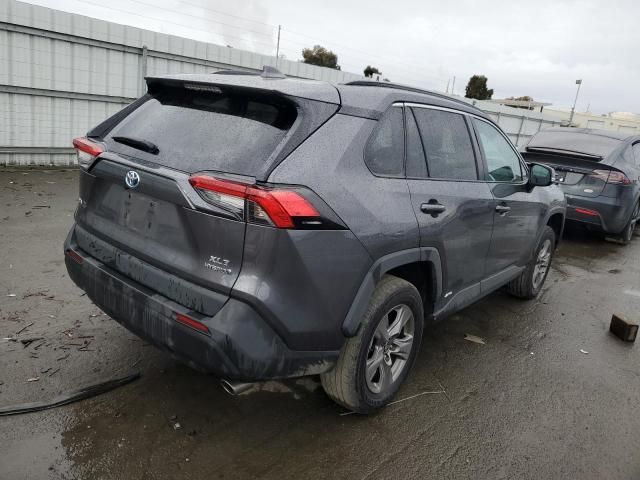 2023 Toyota Rav4 XLE