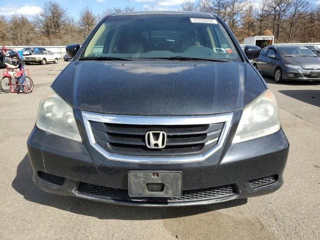 2008 Honda Odyssey EXL