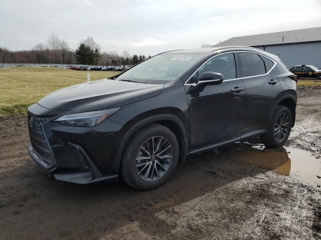 2024 Lexus NX 350 Base