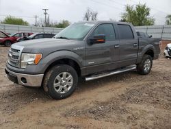 Salvage cars for sale from Copart Oklahoma City, OK: 2013 Ford F150 Supercrew