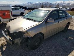 Toyota Corolla CE salvage cars for sale: 2008 Toyota Corolla CE