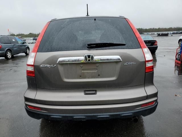 2010 Honda CR-V EXL