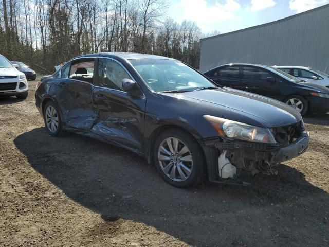 2011 Honda Accord EXL