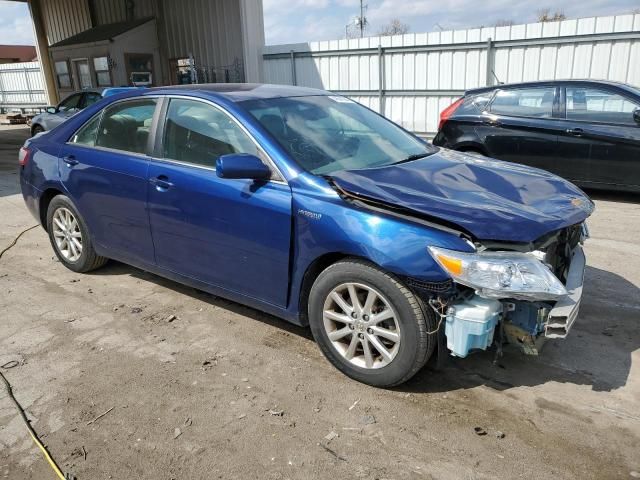 2010 Toyota Camry Hybrid