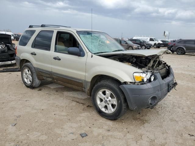 2006 Ford Escape XLT