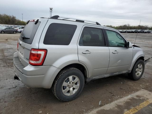 2011 Ford Escape Limited