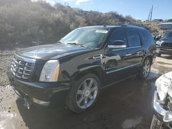 Salvage cars for sale at Reno, NV auction: 2009 Cadillac Escalade Luxury