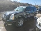 2009 Cadillac Escalade Luxury