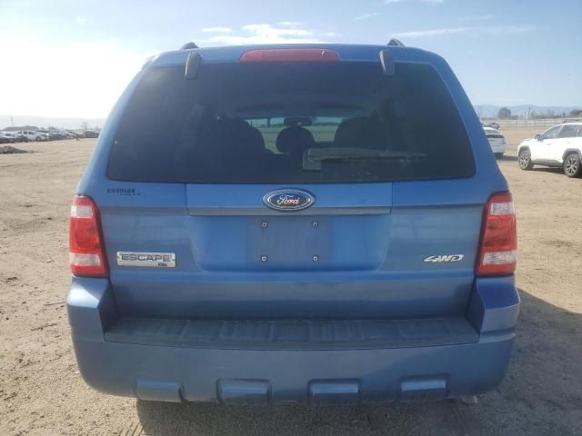 2009 Ford Escape XLT