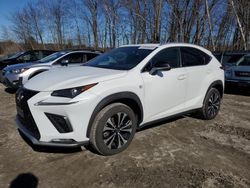 Salvage cars for sale at Candia, NH auction: 2020 Lexus NX 300 F-Sport