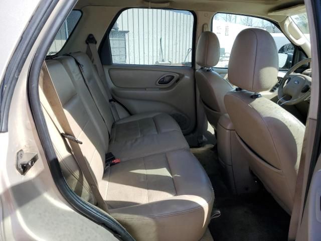 2007 Ford Escape Limited