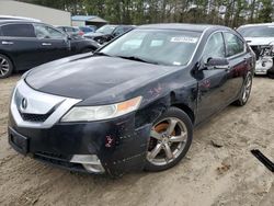 Salvage cars for sale at Seaford, DE auction: 2009 Acura TL