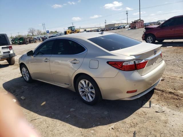 2013 Lexus ES 300H