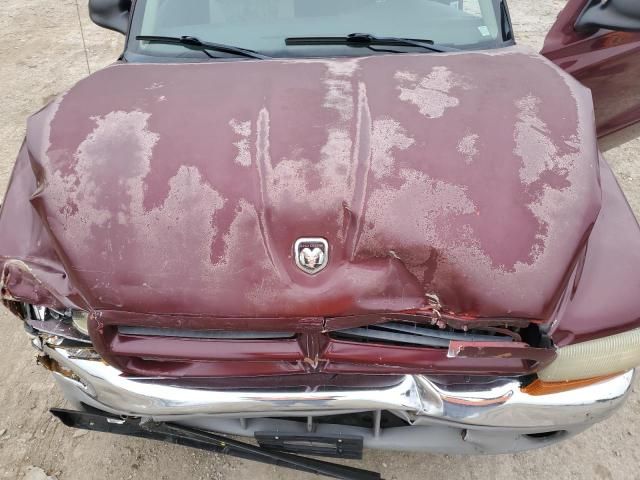 2003 Dodge Dakota SXT