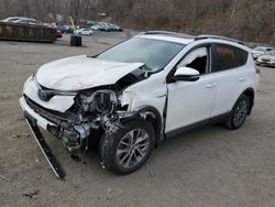 Toyota Rav4 HV LE salvage cars for sale: 2017 Toyota Rav4 HV LE