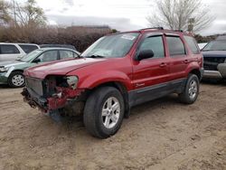 Salvage cars for sale at Albuquerque, NM auction: 2006 Ford Escape HEV