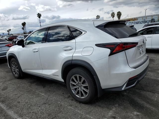 2020 Lexus NX 300H