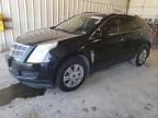 2010 Cadillac SRX Luxury Collection