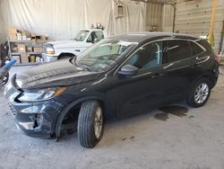 Salvage cars for sale from Copart York Haven, PA: 2022 Ford Escape SE