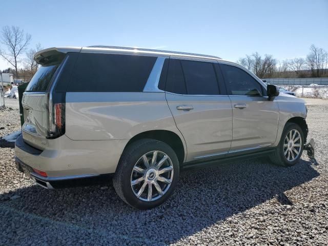 2021 Cadillac Escalade Premium Luxury Platinum