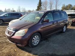 Honda Odyssey exl salvage cars for sale: 2009 Honda Odyssey EXL