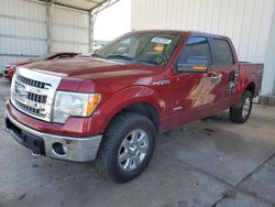Salvage trucks for sale at Albuquerque, NM auction: 2014 Ford F150 Supercrew