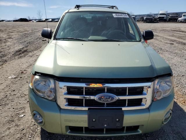 2008 Ford Escape XLT