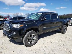 Salvage cars for sale at West Warren, MA auction: 2019 Toyota Tacoma Double Cab