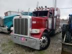 2022 Peterbilt 389